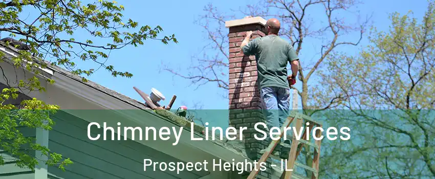  Chimney Liner Services Prospect Heights - IL