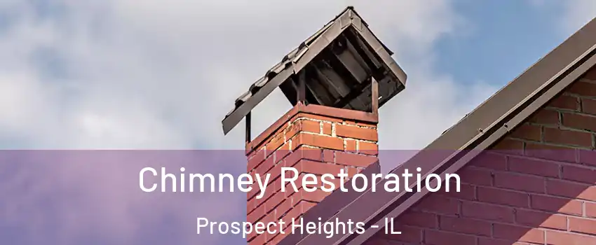  Chimney Restoration Prospect Heights - IL