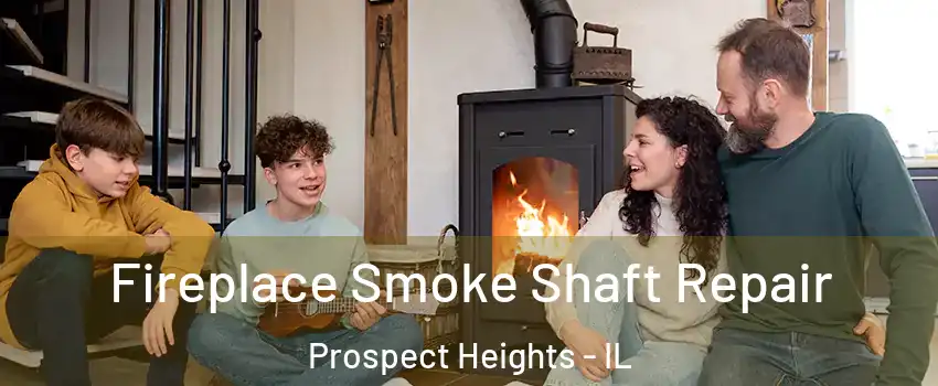  Fireplace Smoke Shaft Repair Prospect Heights - IL