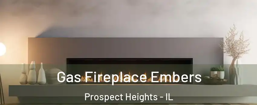 Gas Fireplace Embers Prospect Heights - IL