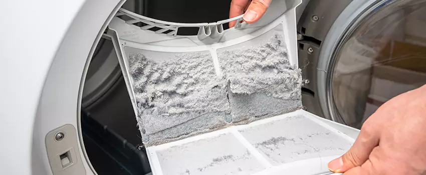 Best Dryer Lint Removal Company in Prospect Heights, Illinois