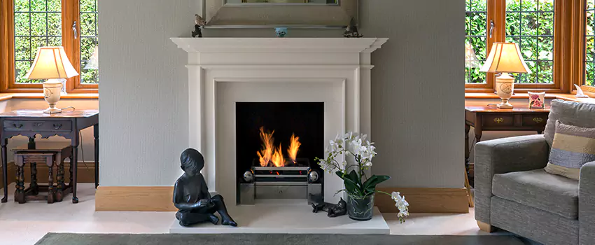 Astria Open-Hearth Wood Fireplaces Services in Prospect Heights, IL