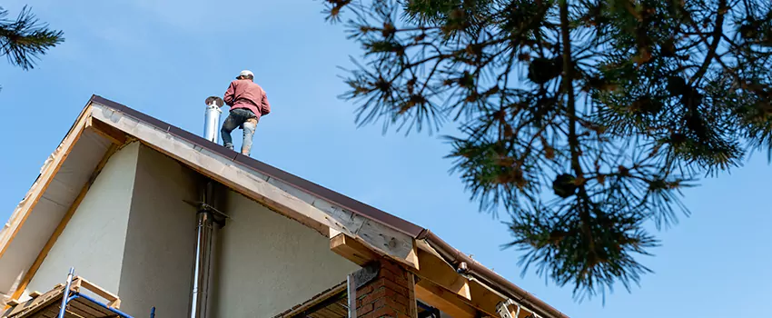Birds Removal Contractors from Chimney in Prospect Heights, IL