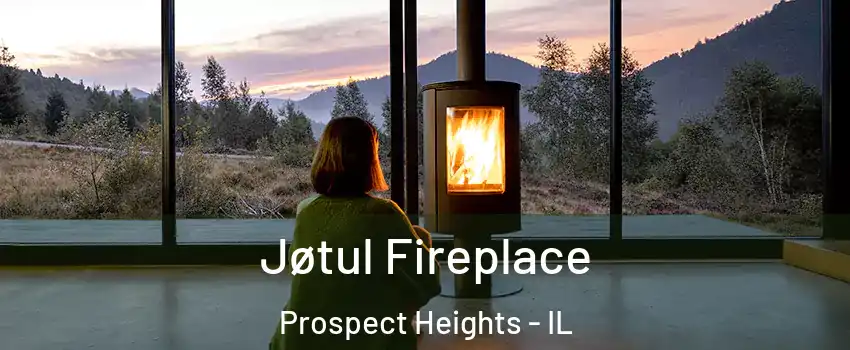  Jøtul Fireplace Prospect Heights - IL