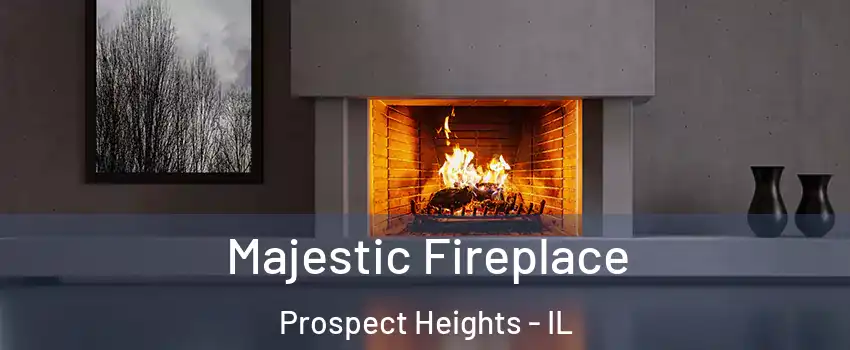  Majestic Fireplace Prospect Heights - IL